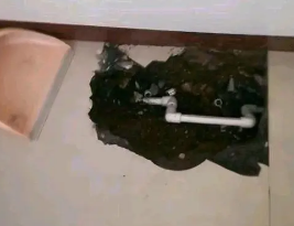 福安卫生间测漏水多少钱